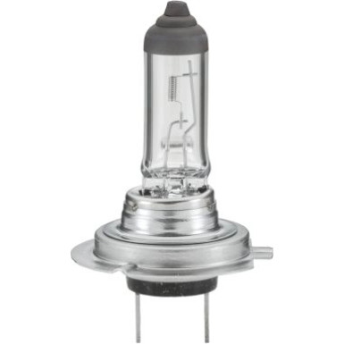HELLA Glühlampe, Nebelscheinwerfer 8GH 007 157-121 STANDARD