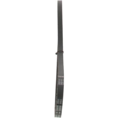 Keilrippenriemen BMW,TOYOTA,KIA,FIAT 1987947830 Keilrippenriemen BMW,TOYOTA,KIA,FIAT 1987947830