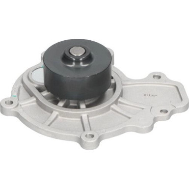 Wasserpumpe DW-1016