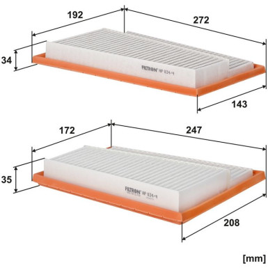 FILTRON Luftfilter AP 034/4-2x