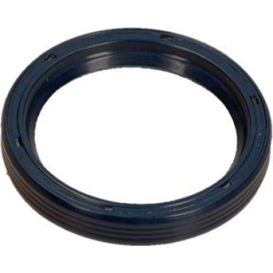 Dichtring 12010903B