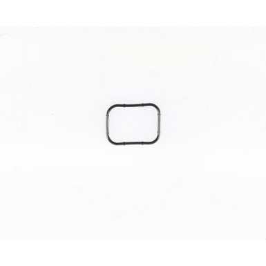 AnsaugkrümmerdichtungCitroen/ Fiat/ Ford/ Peugeot 1.6 Hdi/Tdci 450365H