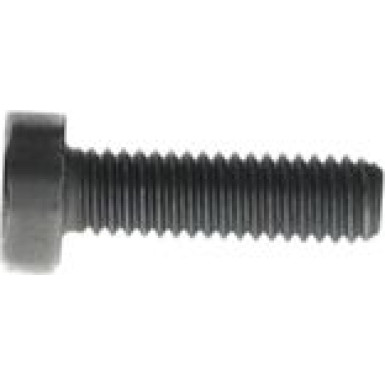 Torx-Zylinderschraube F 00N 202 191 Torx-Zylinderschraube F 00N 202 191