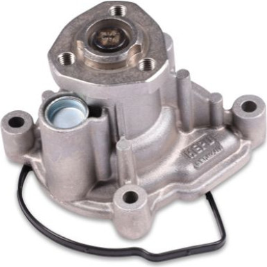 HEPU Wasserpumpe P581 HEPU Wasserpumpe P581