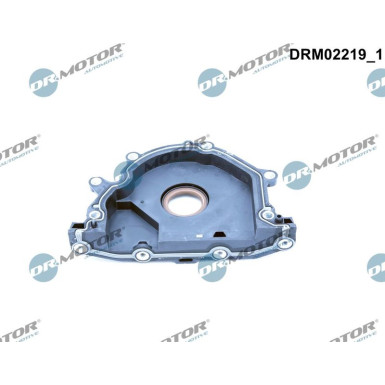 WELLENDICHTRING, KURBELWELLE DRM02219
