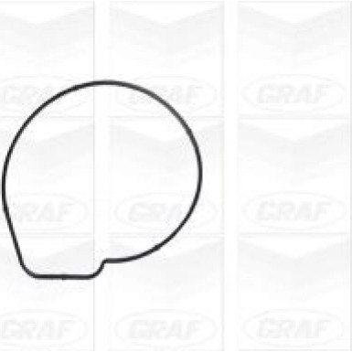 PA 1167 Wasserpumpe (Schaltbar) AUDI,SEAT,SKODA,VW 1,2TFSI 09 PA1167