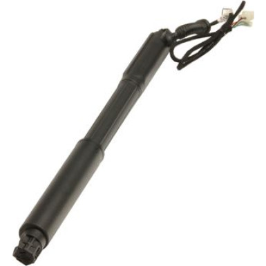 Gasfeder, Einlegeboden (Koffer-/Laderaum) 235553