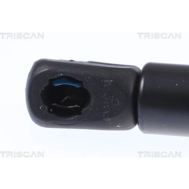 Gasfeder, Motorhaube 871029151