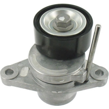 Spannrolle Nebentrieb DACIA, RENAULT VKM 36201