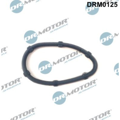 DR.MOTOR Dichtung, Ansaugkrümmer DRM0125 DR.MOTOR Dichtung, Ansaugkrümmer DRM0125