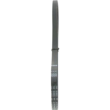 Keilrippenriemen BMW,FIAT Elastic 1987946127 Keilrippenriemen BMW,FIAT Elastic 1987946127