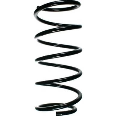 SPIDAN Fahrwerksfeder 49258