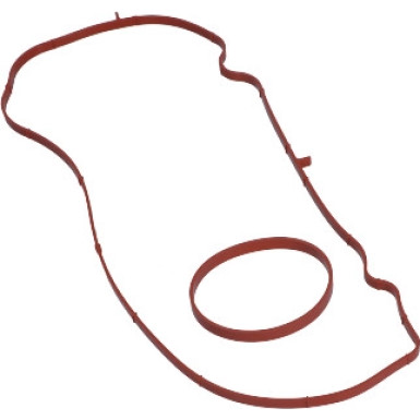 Dichtungssatz Ansaugkrümmer 11-42123-01 Dichtungssatz Ansaugkrümmer 11-42123-01