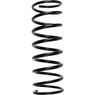 SPIDAN Fahrwerksfeder 48367
