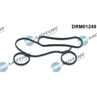Dichtung, Ílkühler DRM01249
