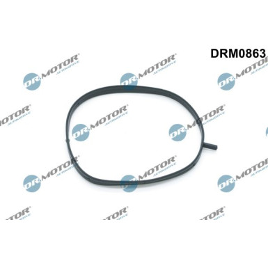 Dichtung, Ansaugkrümmer, Verwendung DRM0863