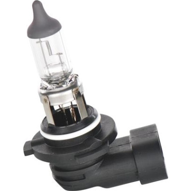 H10 12V 42W PURE LIGHT BOSCH KFZ-GLUEHLAMPE Pure Light WS 1987302083
