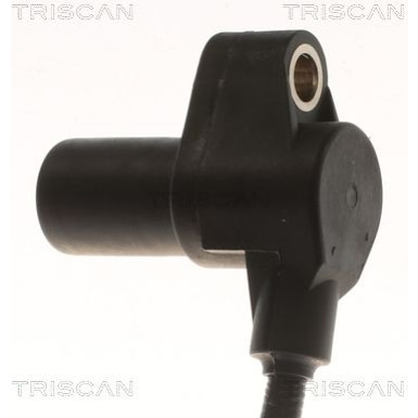 Sensor, Raddrehzahl 818028118