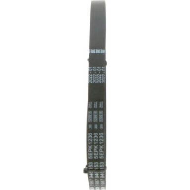 Keilrippenriemen HYUNDAI i20 Elastic 1987946153