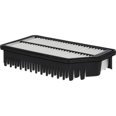 FILTRON Luftfilter AP 122/2
