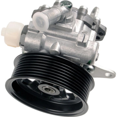 Servopumpe LAND ROVER K S00 000 754