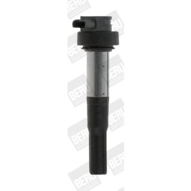 BorgWarner (BERU) Zündspule ZS386