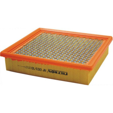 FILTRON Luftfilter AP 003/10