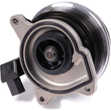 HEPU Wasserpumpe P651 HEPU Wasserpumpe P651