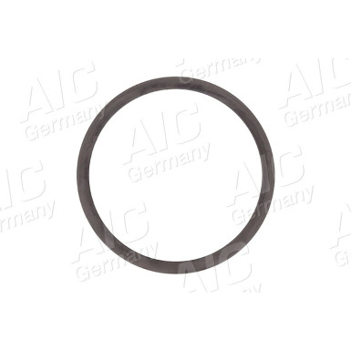 Sensorring ABS CITROEN 55466