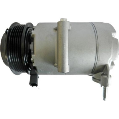 Kompressor, Klimaanlage BEHR ACP 1333 000S