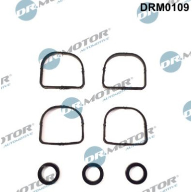 DR.MOTOR Dichtungssatz, Ansaugkrümmer DRM0109 DR.MOTOR Dichtungssatz, Ansaugkrümmer DRM0109