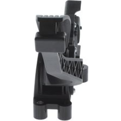 Fahrpedalmodul 0 280 755 051