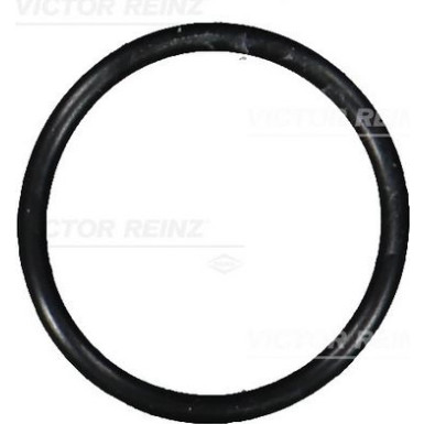 Dichtring 40-76101-00 Dichtring 40-76101-00