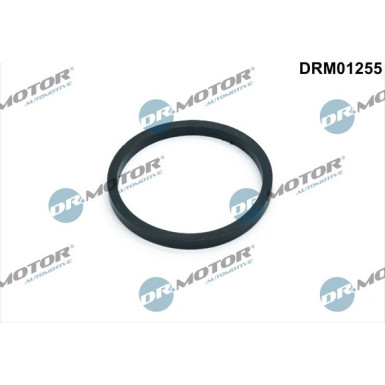 Dichtung, Ílkühler DRM01255