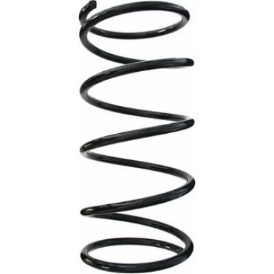 SPIDAN Fahrwerksfeder 48290