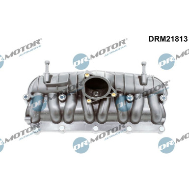 DR.MOTOR Saugrohrmodul DRM21813 DR.MOTOR Saugrohrmodul DRM21813
