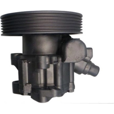 SPIDAN Hydraulikpumpe 53854 SPIDAN Hydraulikpumpe 53854