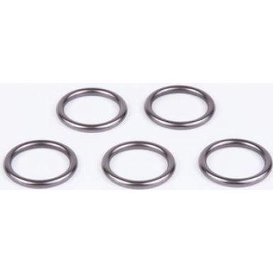 O-Ring Diverse 2430210081