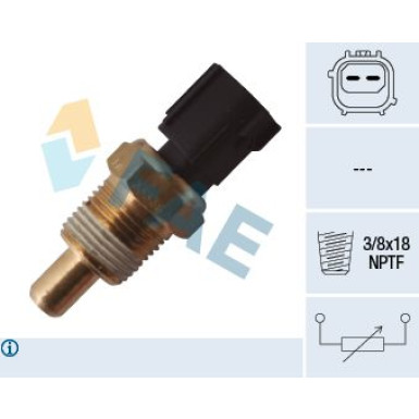 FAE Sensor, Kühlmitteltemperatur 33335
