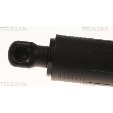 Gasfeder, Koffer-/Laderaum 871029306