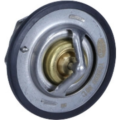 Thermostat, Kühlmittel 352317100930
