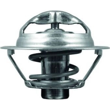 Thermostateinsatz mit Dichtung RENAULT Clio/Megane 05 BEHR TX 175 95D
