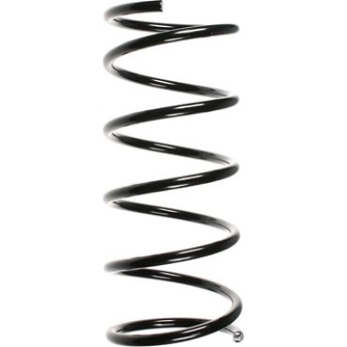 SPIDAN Fahrwerksfeder 49401