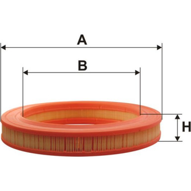 FILTRON Luftfilter AR 204/1