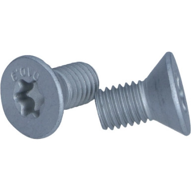 Schraube, Bremsscheibe TPM0010