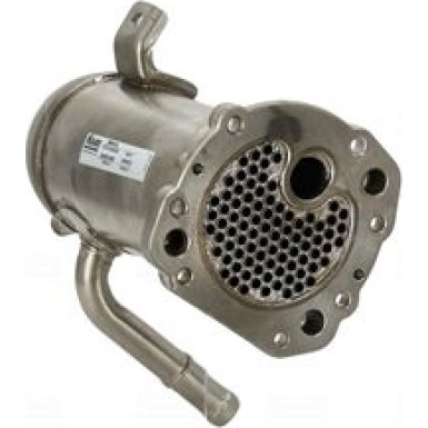 Kühler,Abgasrückführung FORD Tourneo,Transit 12 989431