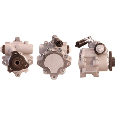 Hydraulikpumpe 715520213 Hydraulikpumpe 715520213
