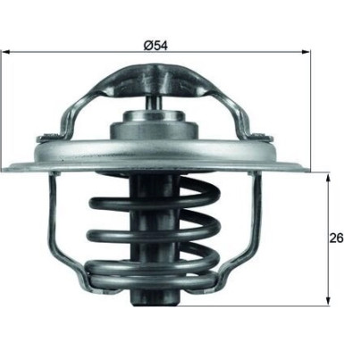 Thermostateinsatz mit Dichtung TX 111 87D