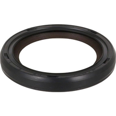 Dichtring RENAULT 697.530