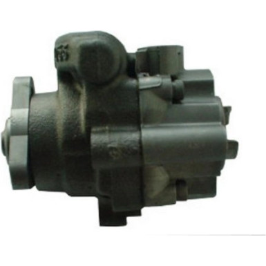 SPIDAN Hydraulikpumpe 54496 SPIDAN Hydraulikpumpe 54496